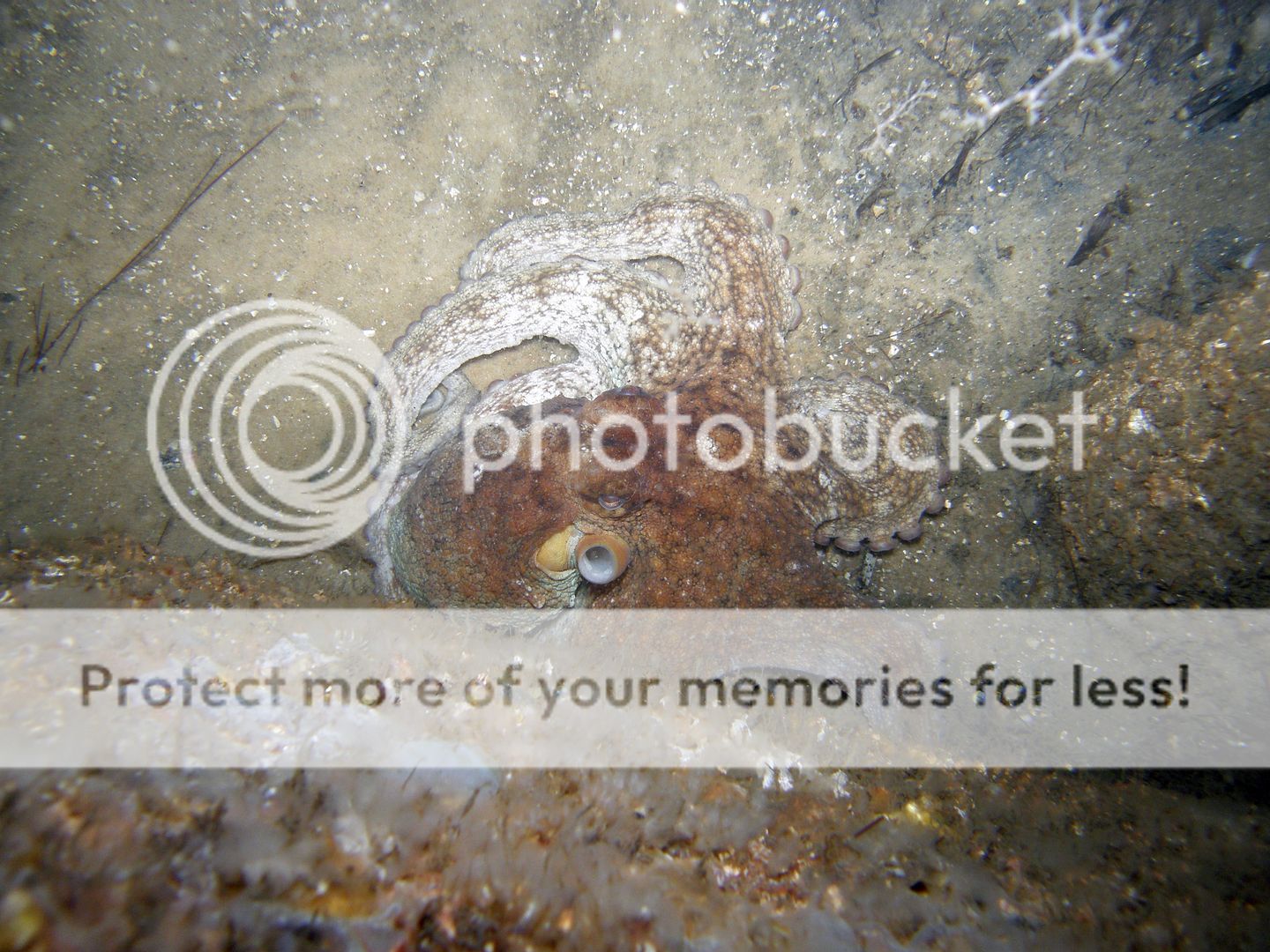 PA035580.jpg