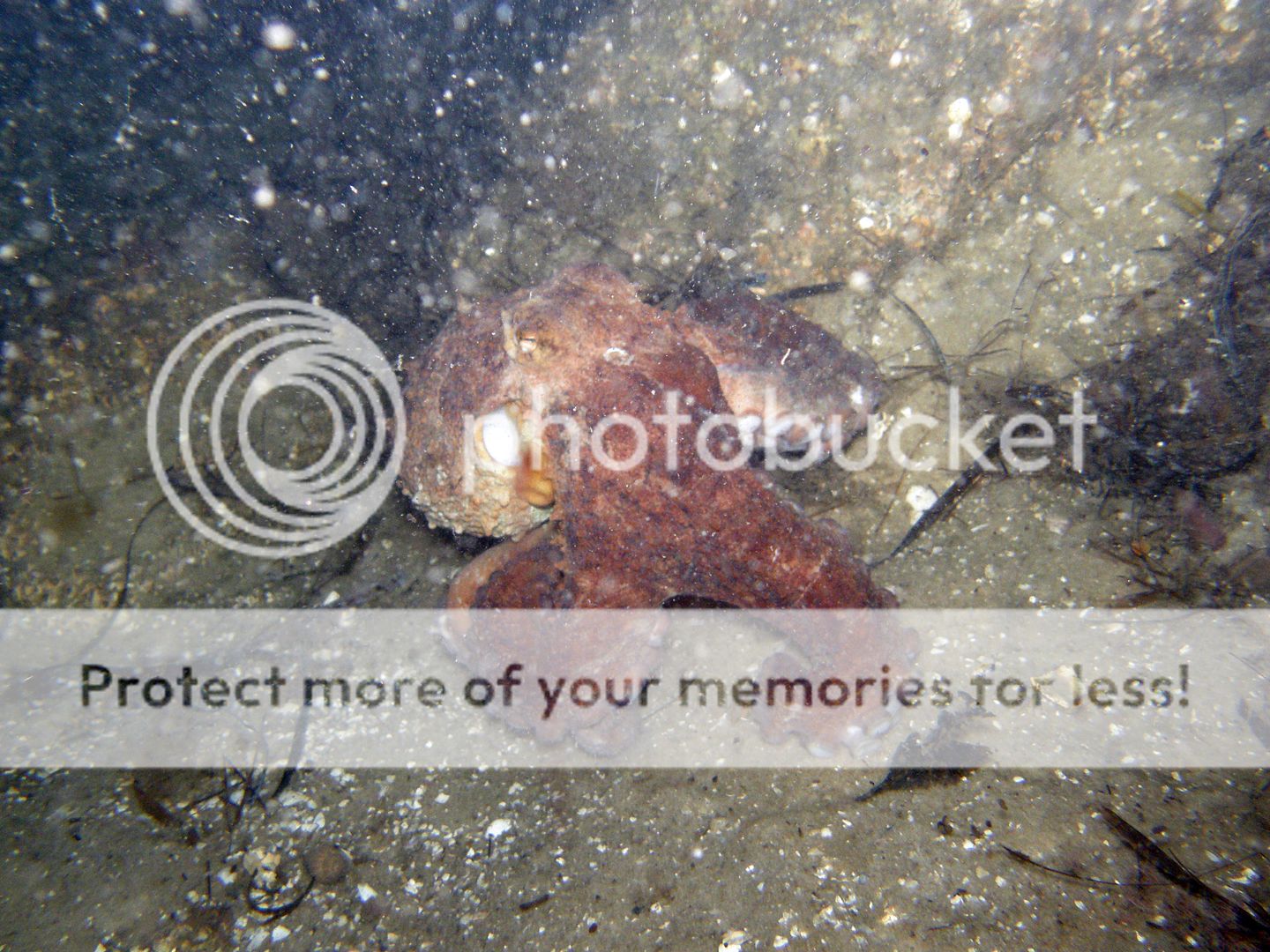 PA035601.jpg