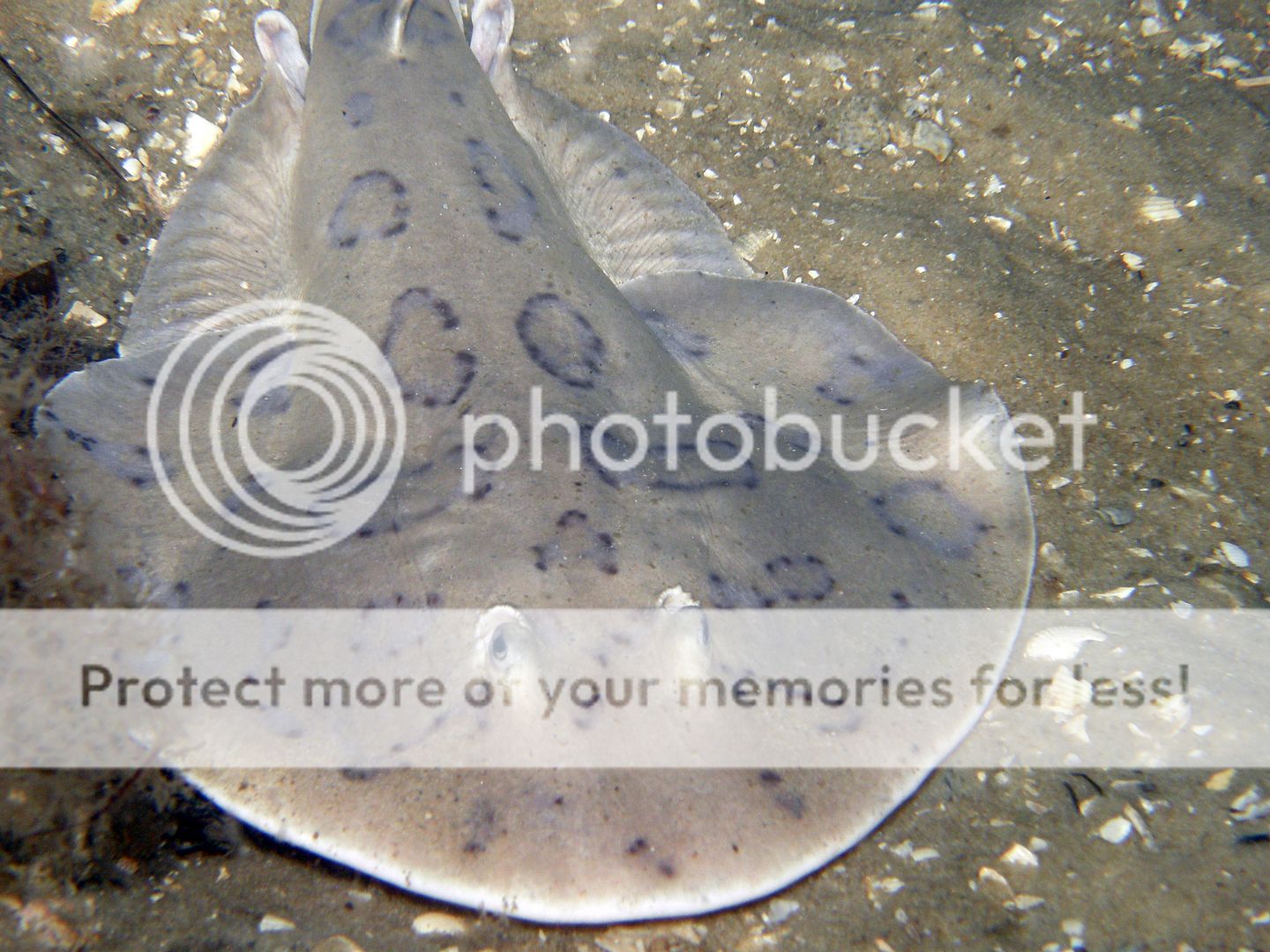 PA035610.jpg
