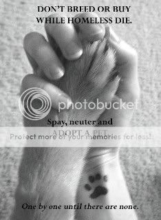 animal rights photo: myspace stuff animal-1.jpg