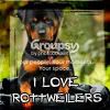 I love rottweilers