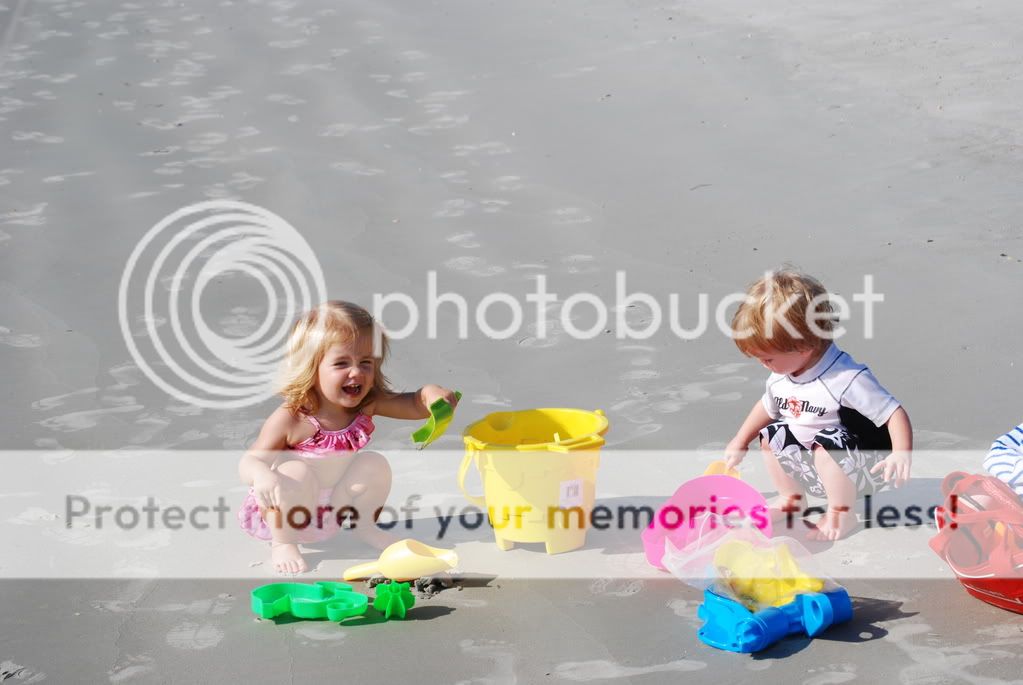 Bailey036.jpg So many toys. . . image by summit2001