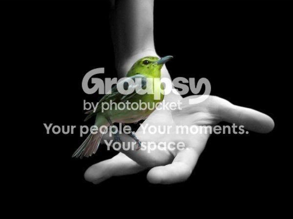 Photobucket