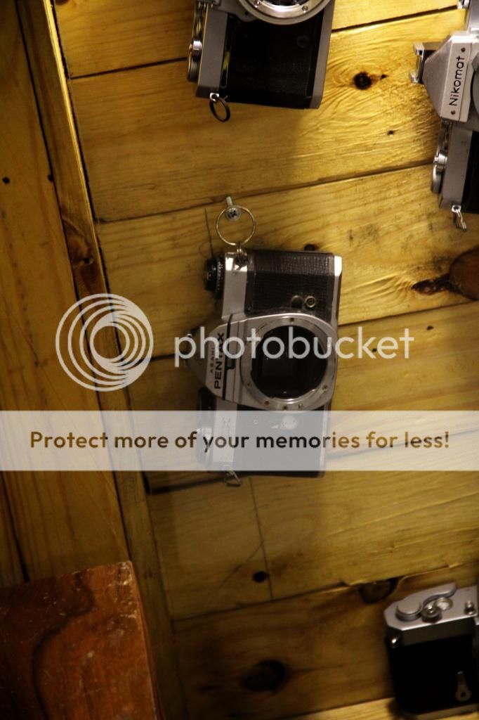 Máy ảnh film - hàngxài được và hàng trưng bày, đang show hàng ở quán cafe Chợ Phiên ! - 8